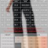 Workout Leggings Womens No Front Seam Straight Leggings High Waist Buttery Eddiy Gym Yoga Pants